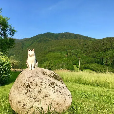 Felsenhof Simonswald