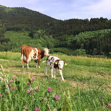 Apartamento Felsenhof Simonswald