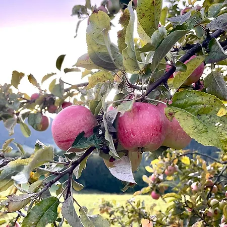 Felsenhof Simonswald