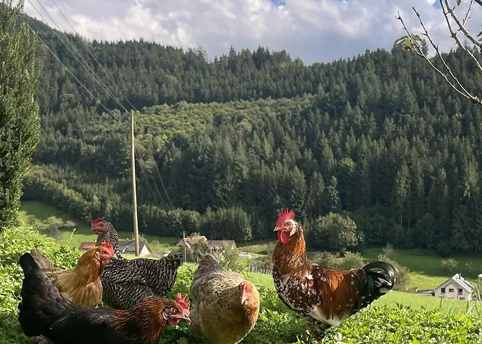 Appartement Felsenhof